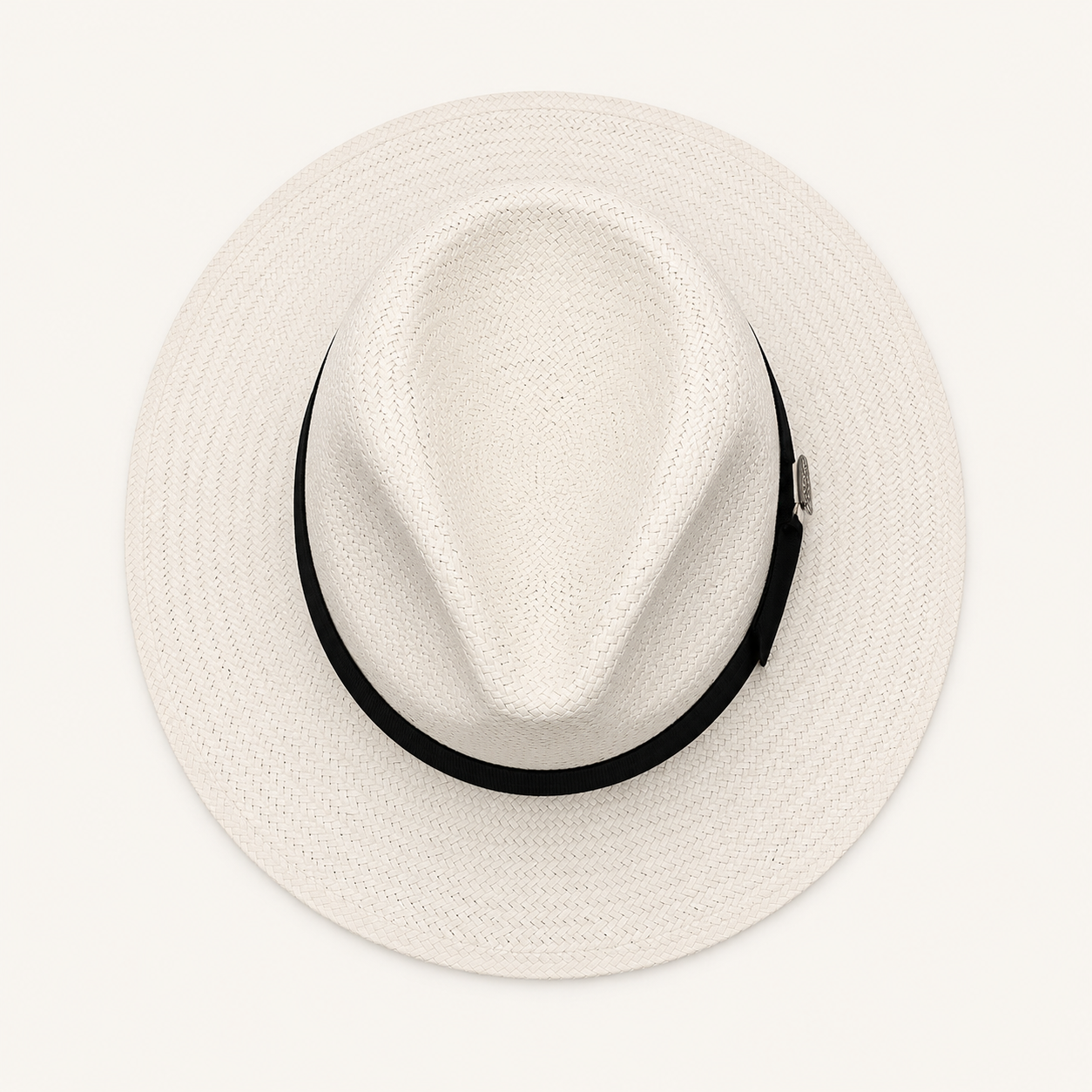 Minimalist Woven Fedora Hats