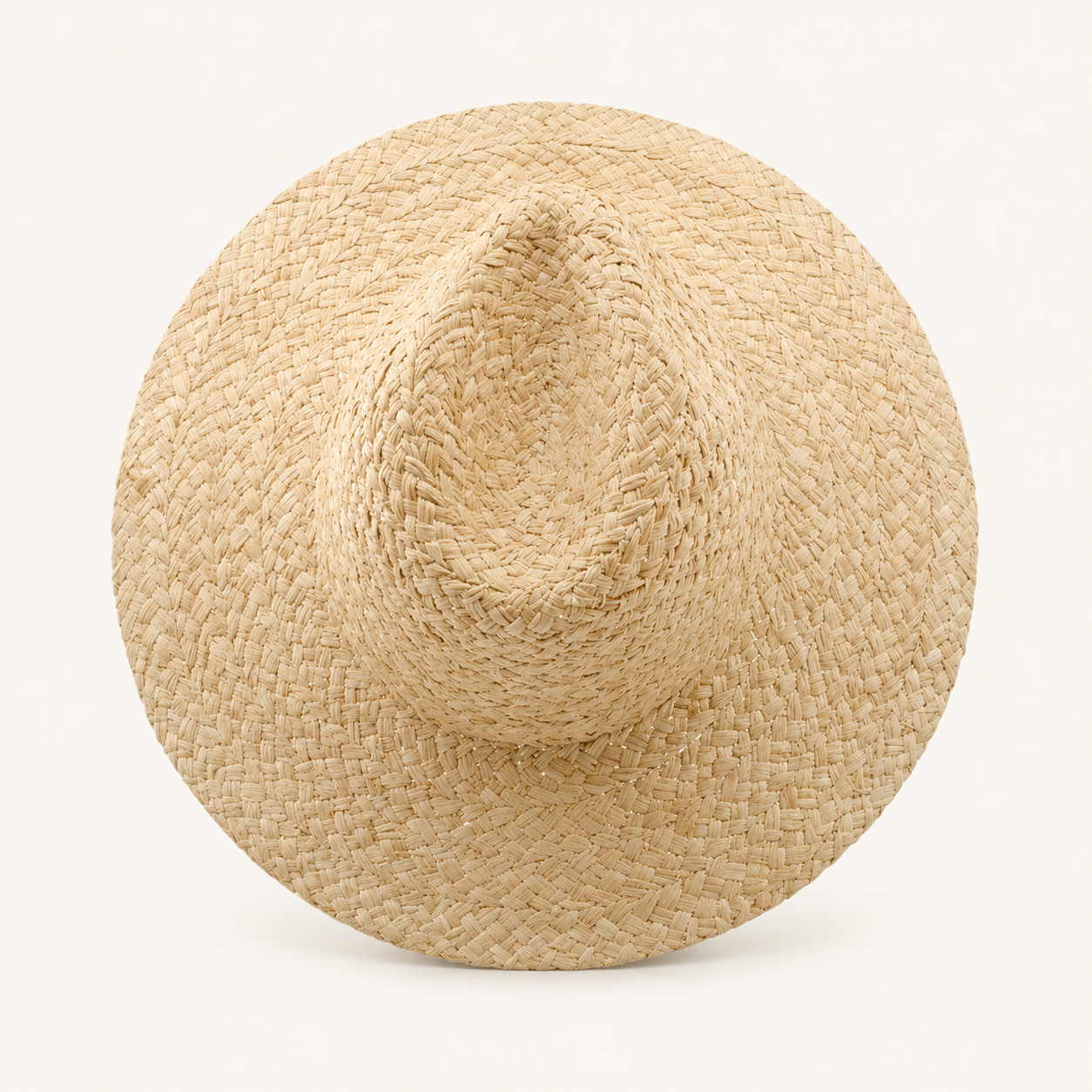 Minimalist Wide Brim Straw Fedora Hats