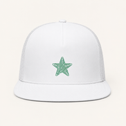 Topographic Star Embroidery Baseball Caps